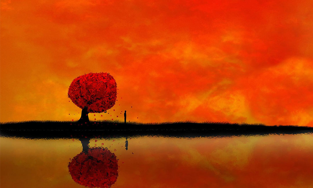 镇江笙影微信朋友圈转发案例